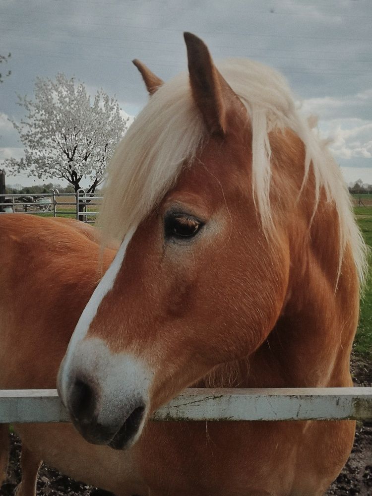 Photograph by Marina Avdeeva