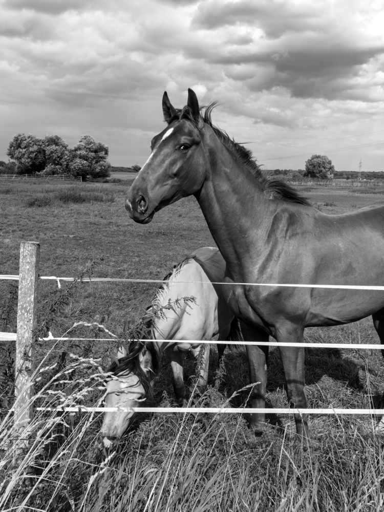 Photograph by Marina Avdeeva