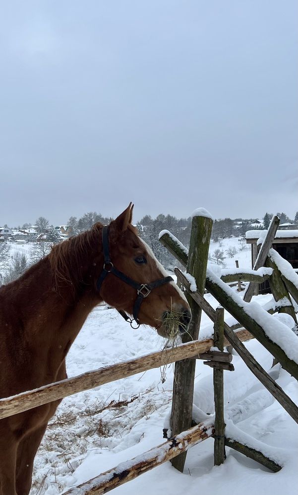 Photograph by Анна Лепихина