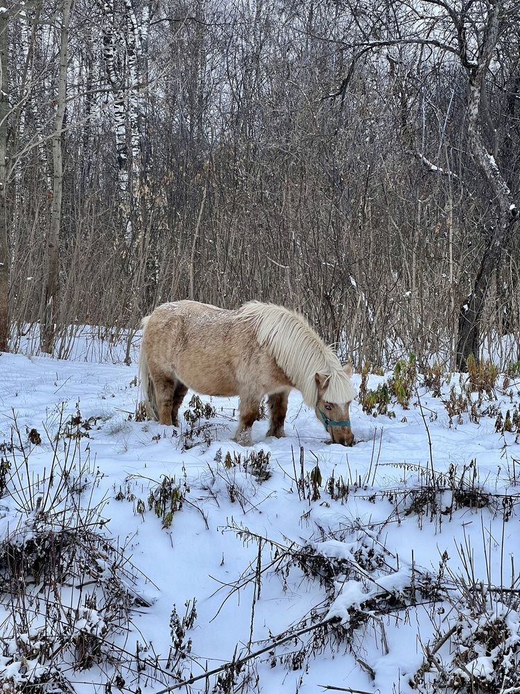 Photograph by Анна Лепихина