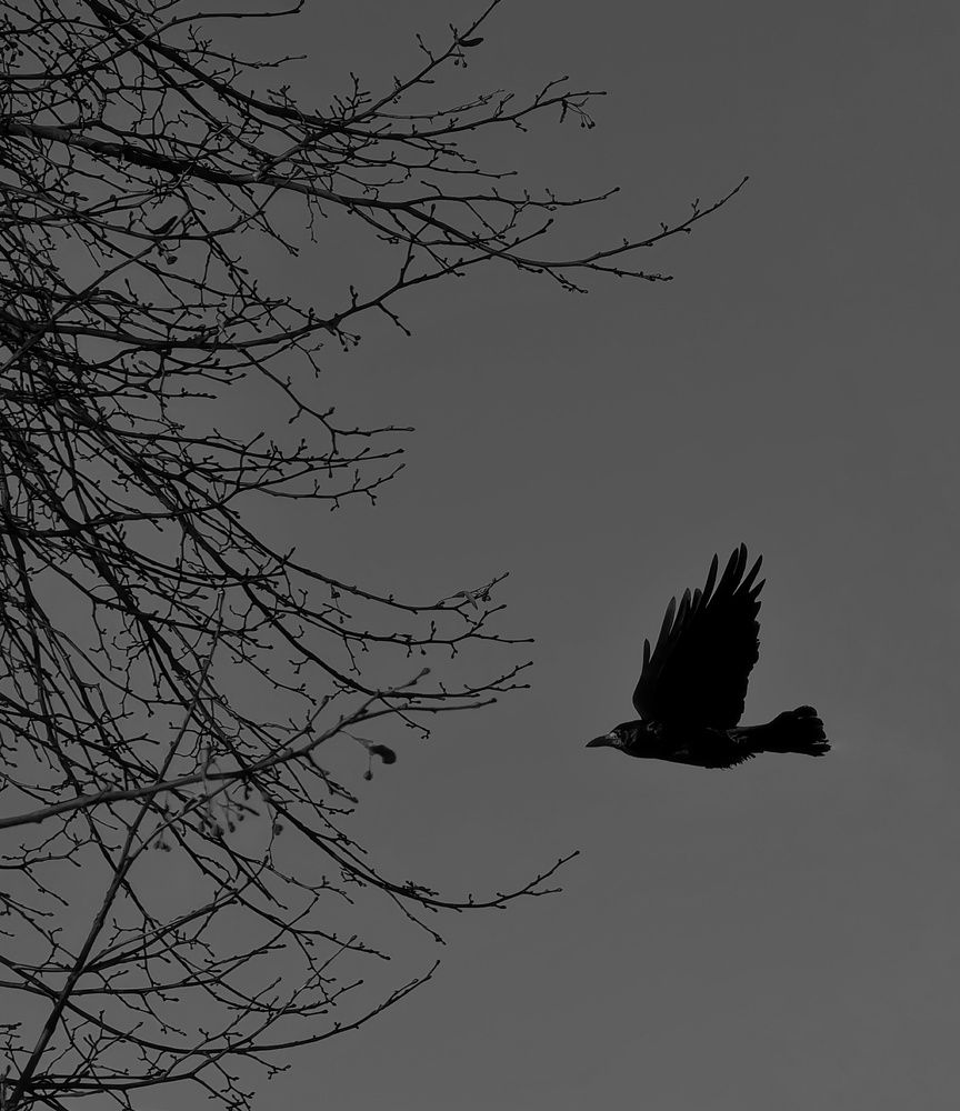 Фотография автора Marina Avdeeva