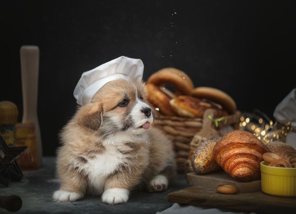Фотография автора Юлия Григорьева