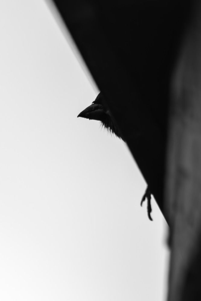 Photograph by Александр Соловьев