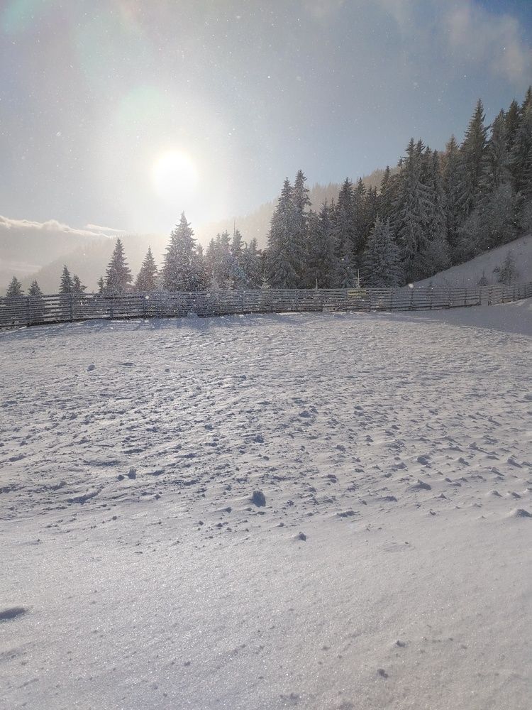 Photo #13113837