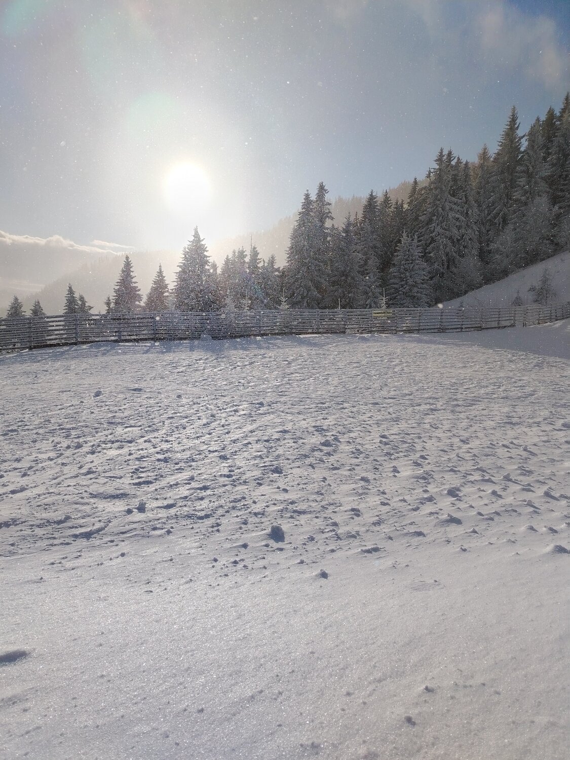 Photo #13113837