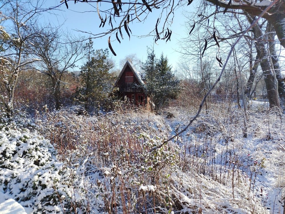 Photo #13113849