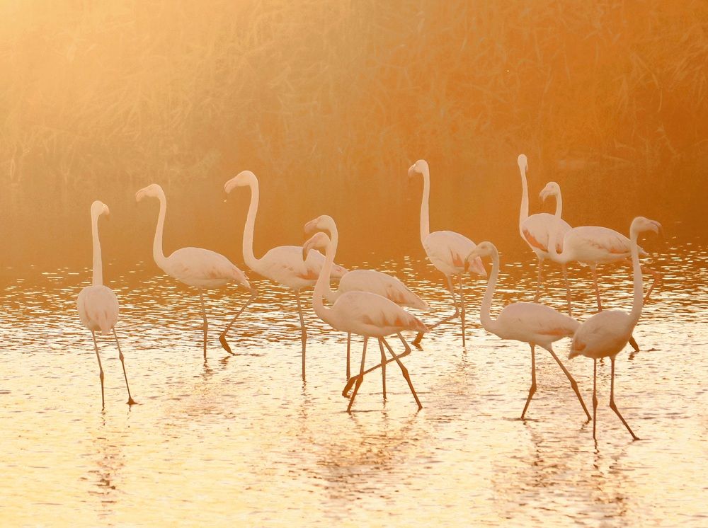 Photograph by Светлана Ханина