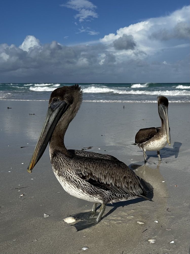 Photograph by Svetlana Rashidova