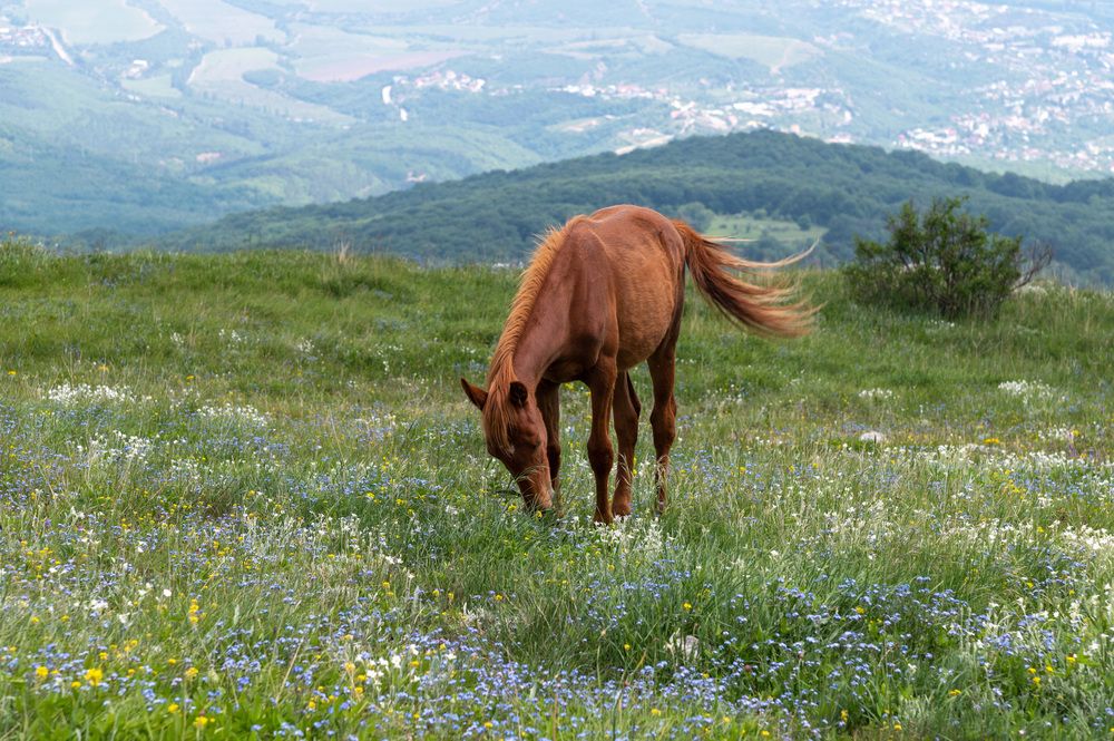Photograph by Екатерина Крючкова