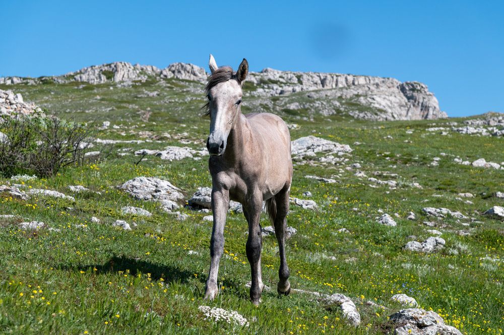 Photograph by Екатерина Крючкова