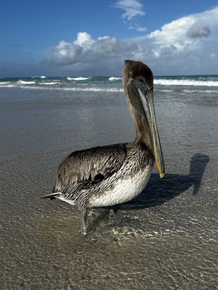 Photograph by Svetlana Rashidova