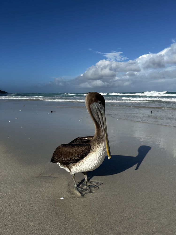 Photograph by Svetlana Rashidova