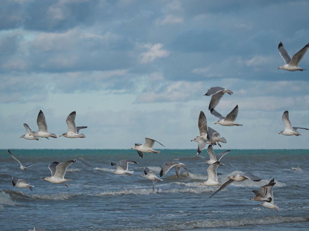 Photograph by Александра Шилова