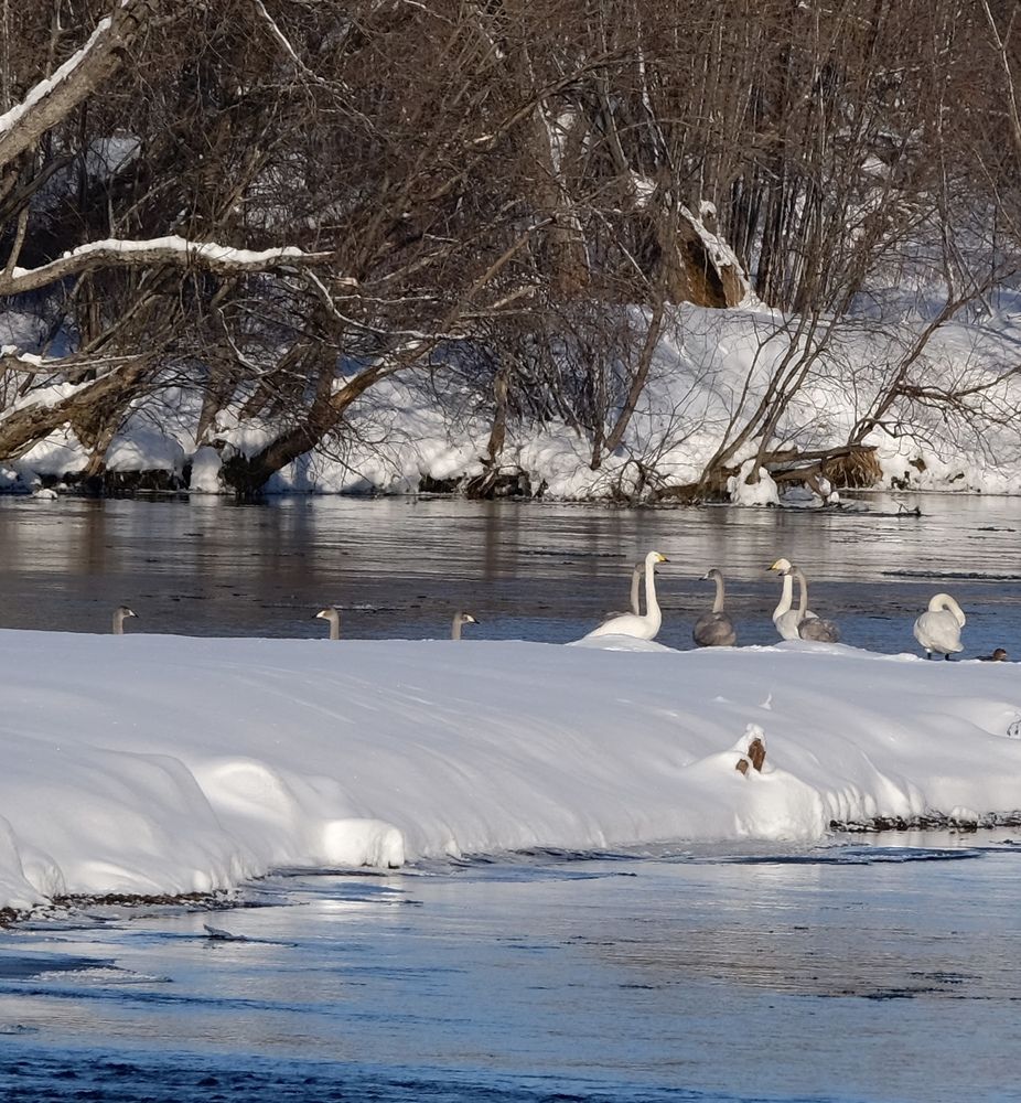 Photograph by Яна Бойко
