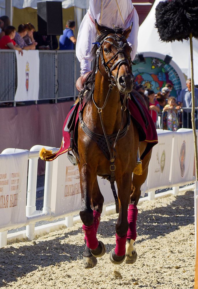 Фотография автора Павел Кулинич