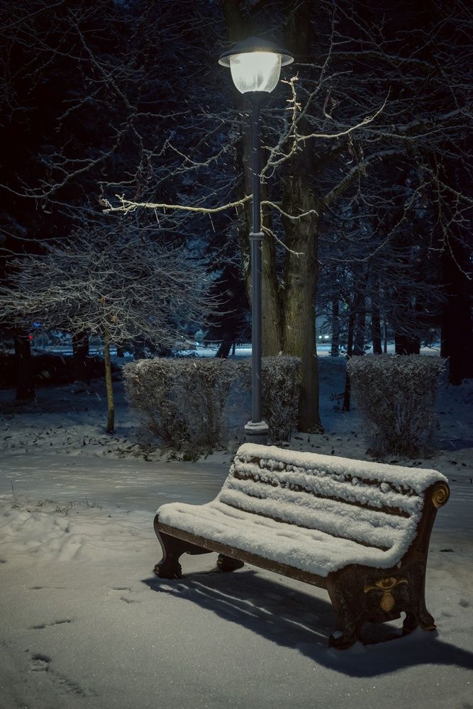 Фотография автора Михаил Мазлоев