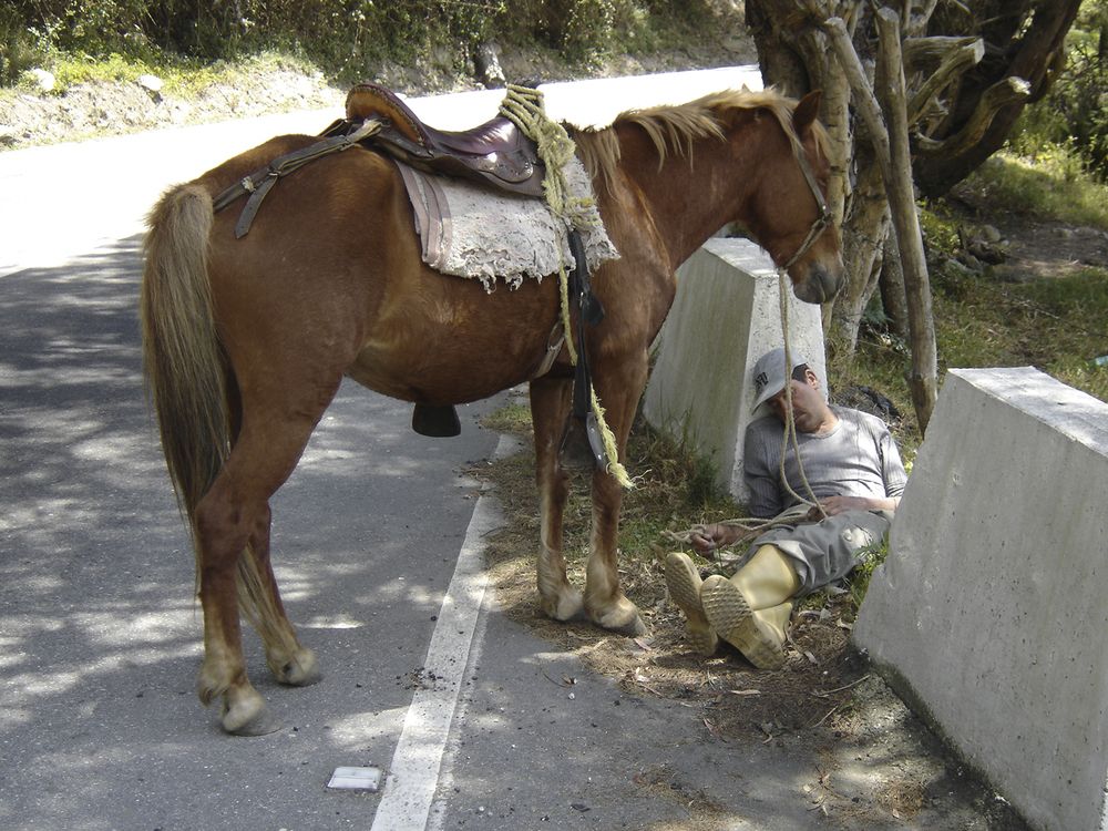 Photograph by Adolfo Alayón