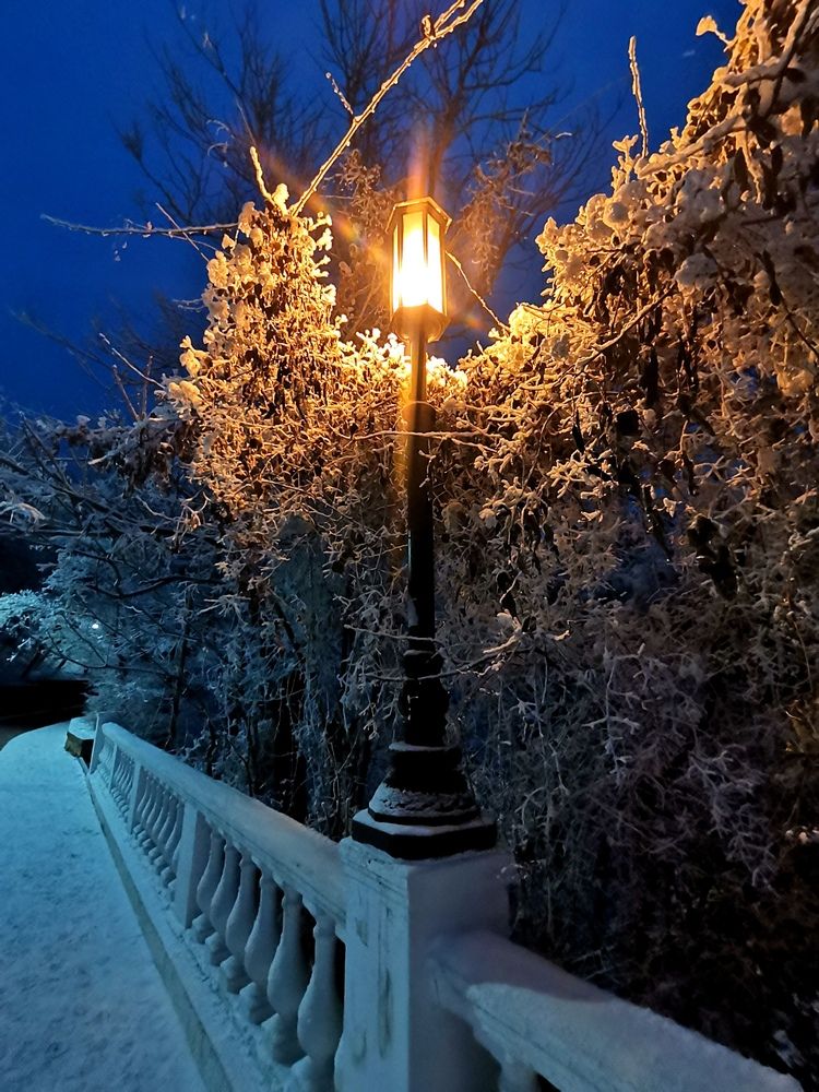 Photograph by Ирина Садовникова