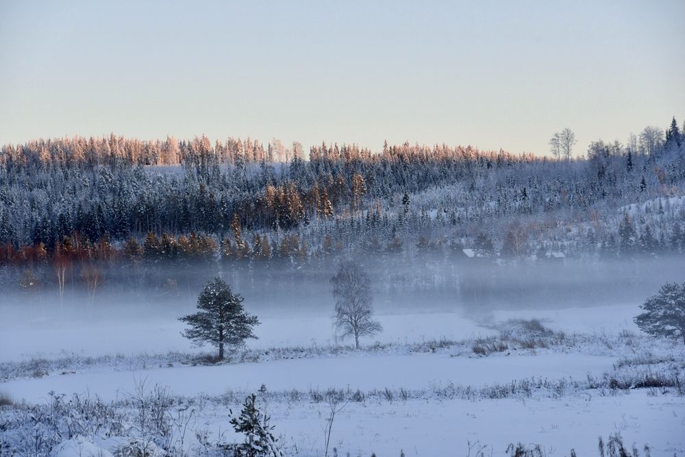 Зимний туман