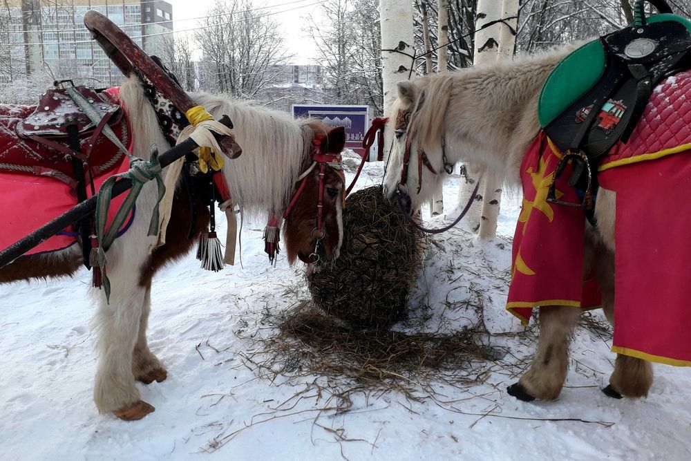 Photograph by Ольга Березовская
