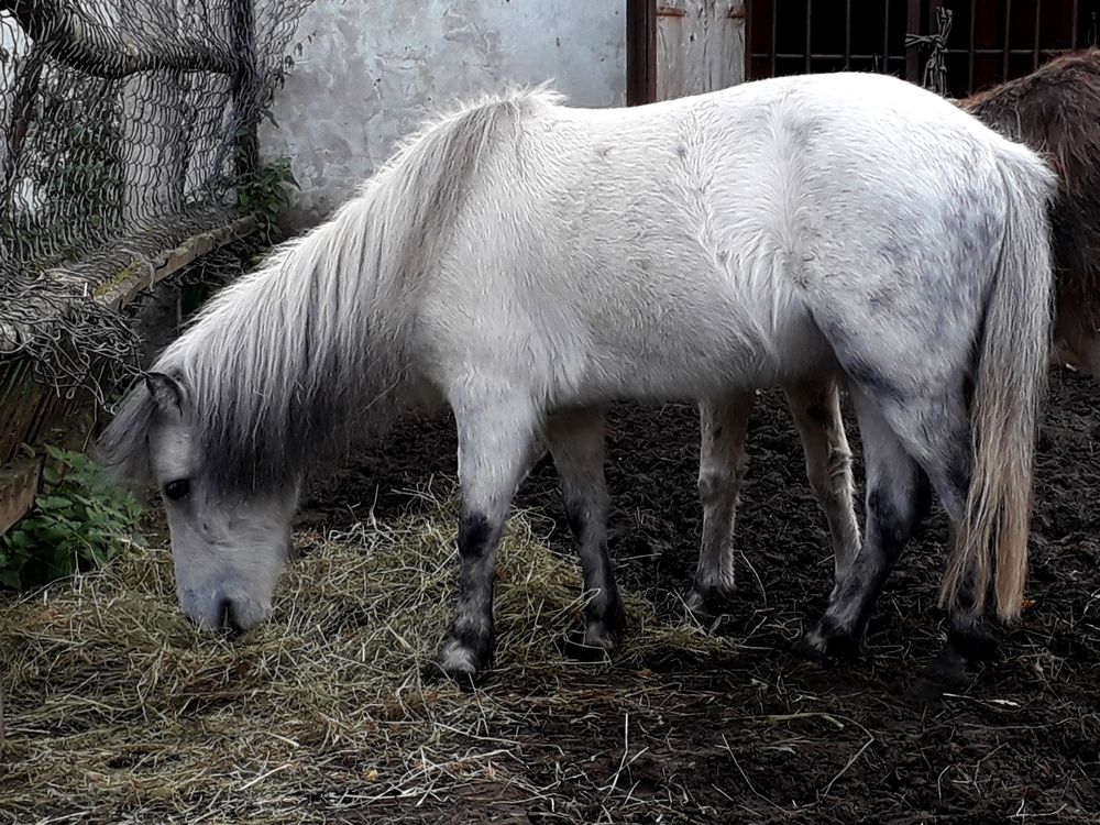 Photograph by Ольга Березовская