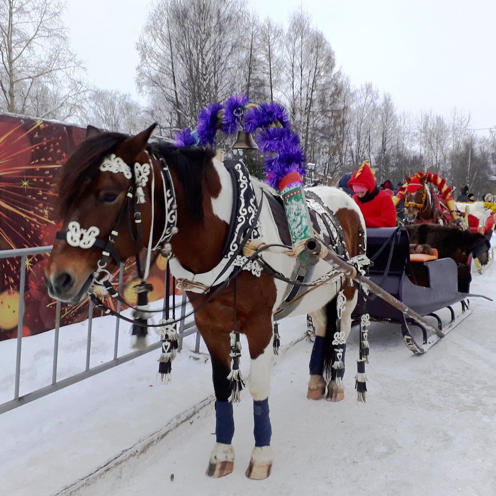 Photograph by Ольга Березовская