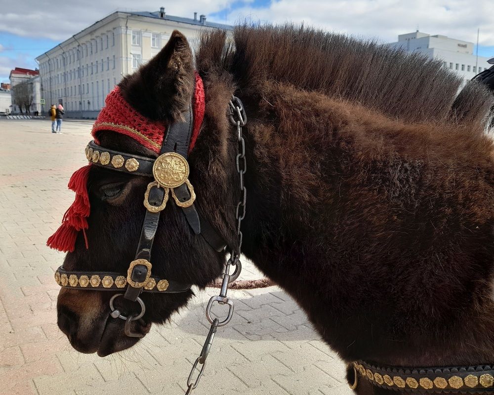 Photograph by Ольга Березовская