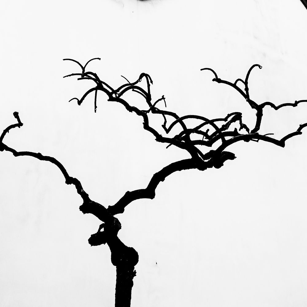 The Calligraphy of Winter