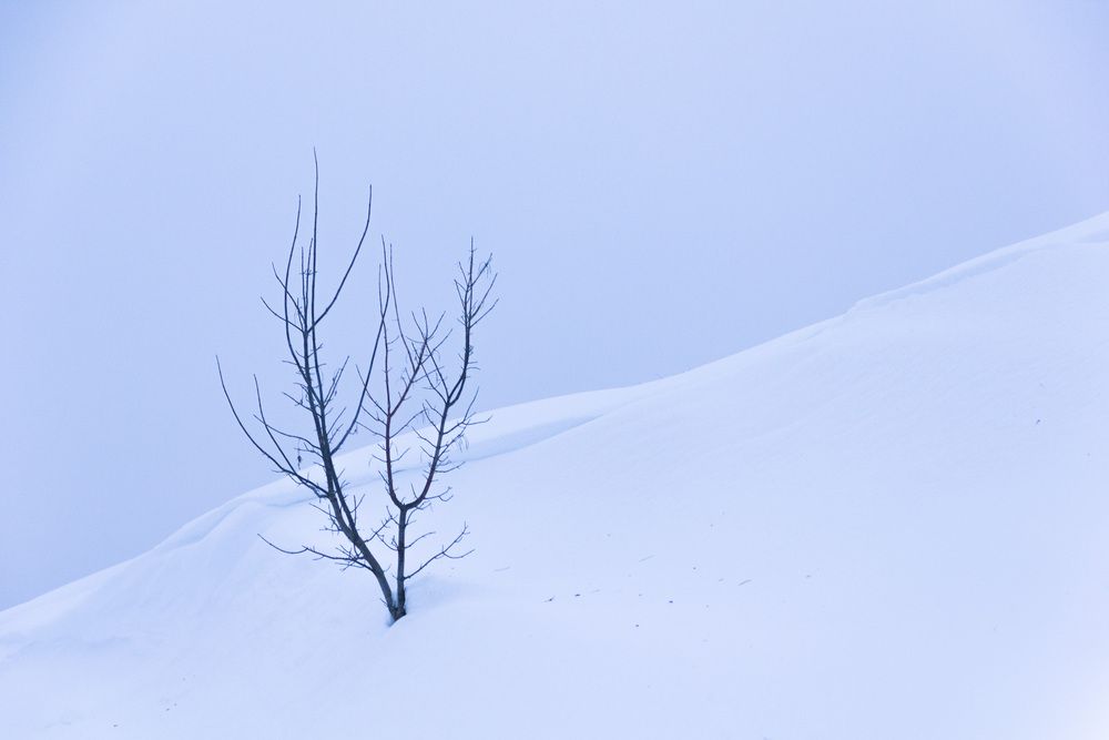 Photograph by Анастасия Ивличева