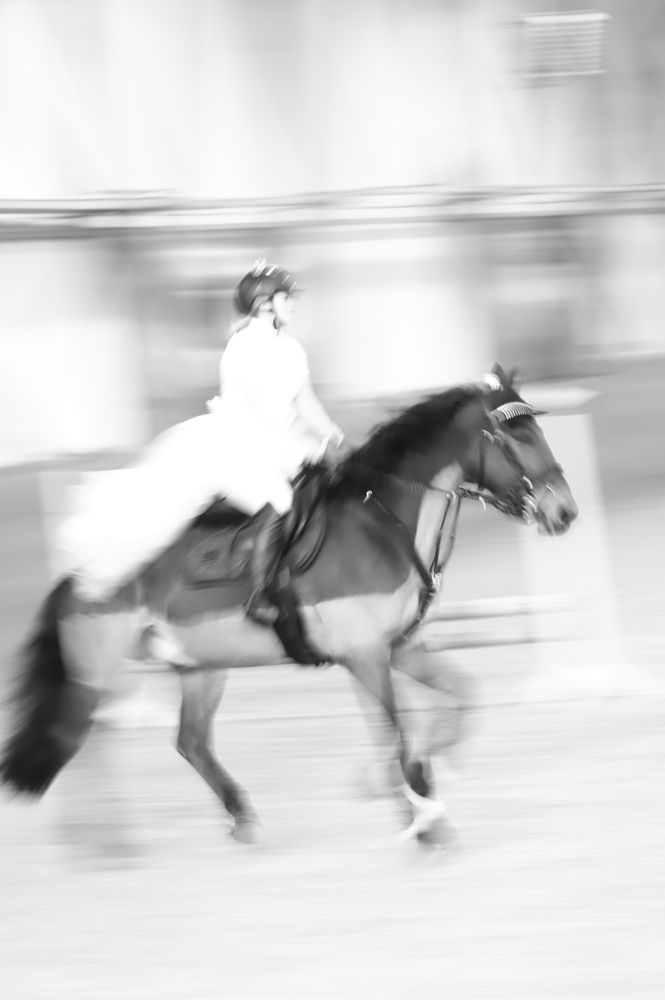 Всадница на лошади