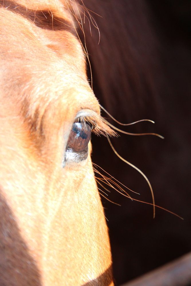 Разумный взгляд