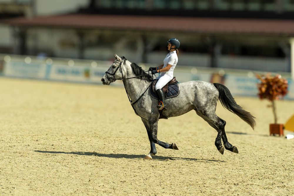 Photograph by Галина Искандарова