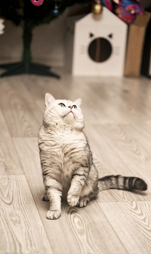 Photograph by Татьяна Борисовская