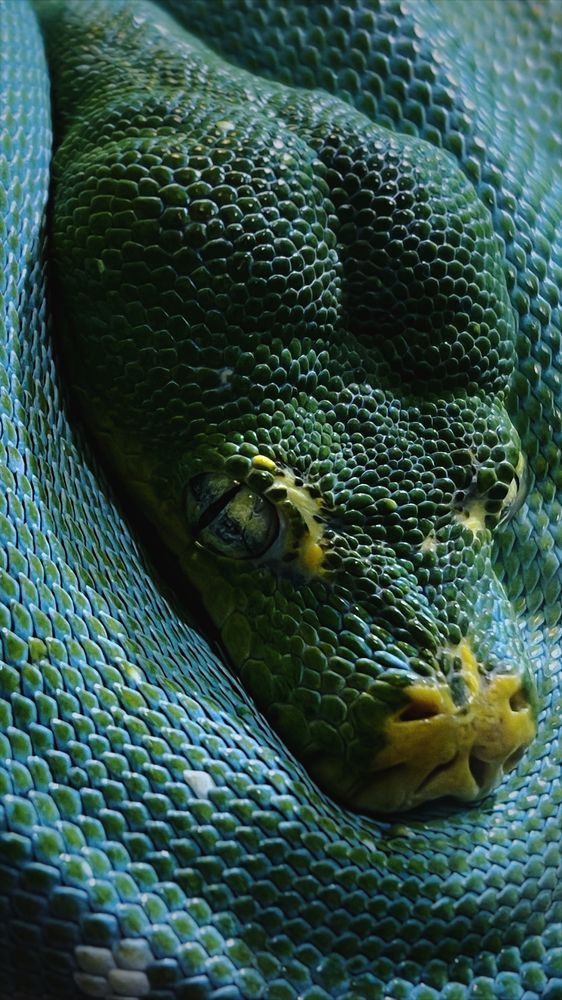 Photograph by Карина Новикова