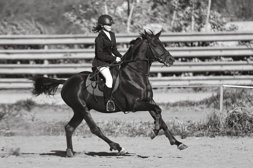 Фотография автора Михаил Голянский