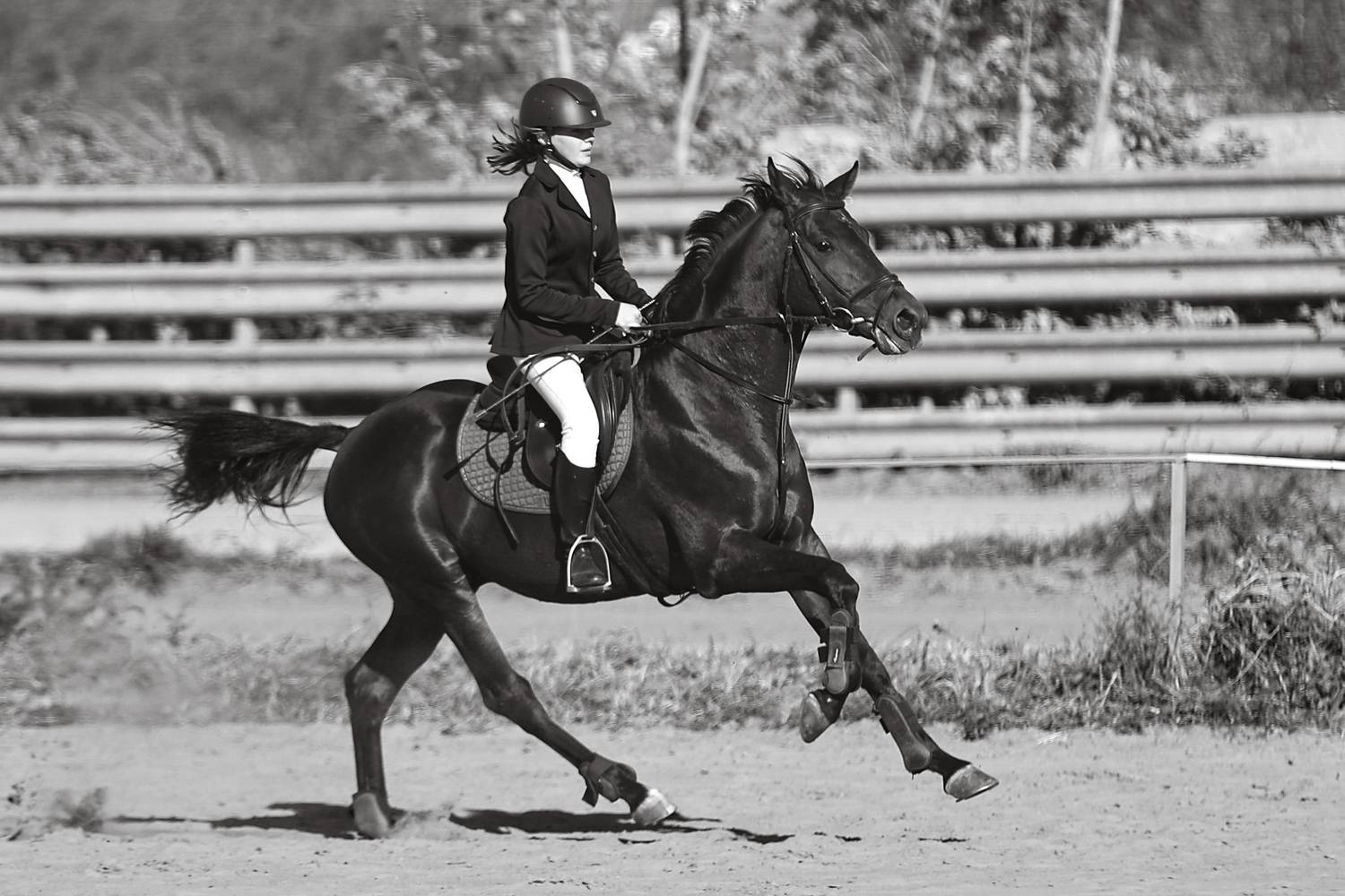 Фотография #13114227