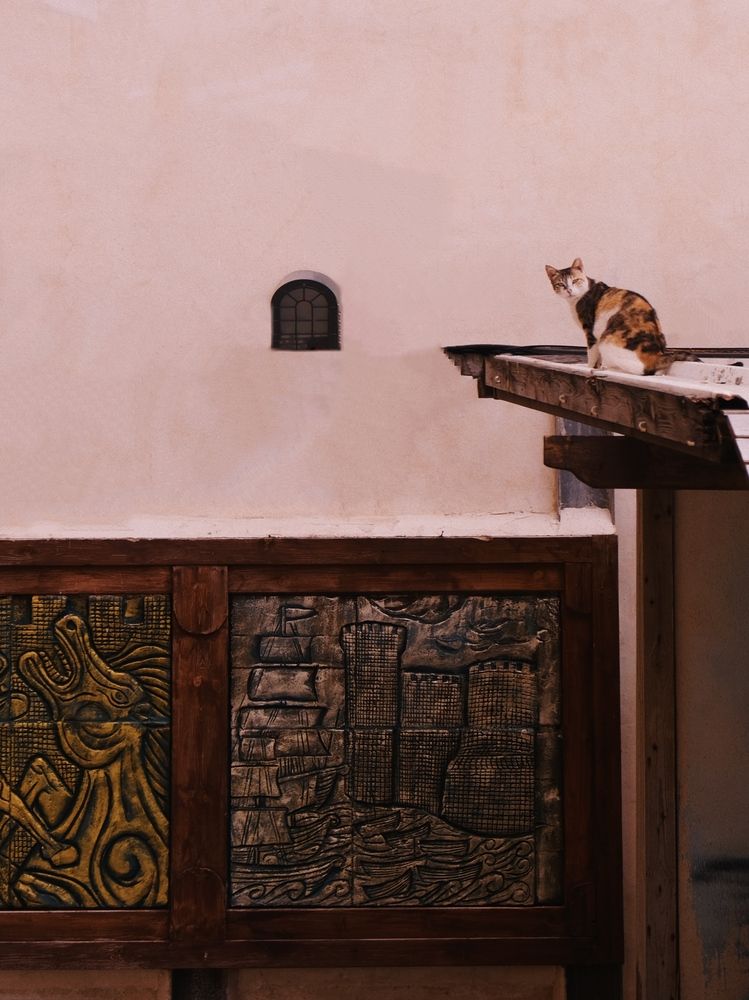 Photograph by Карина Новикова