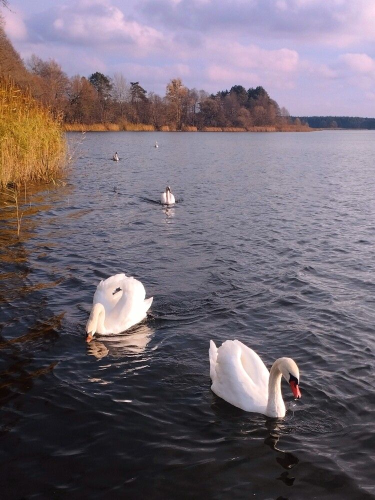 Photograph by Ия Дирко