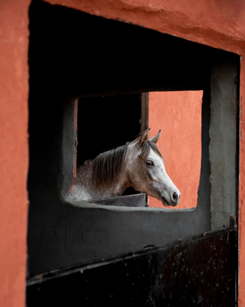 Photograph by yousef Tarek