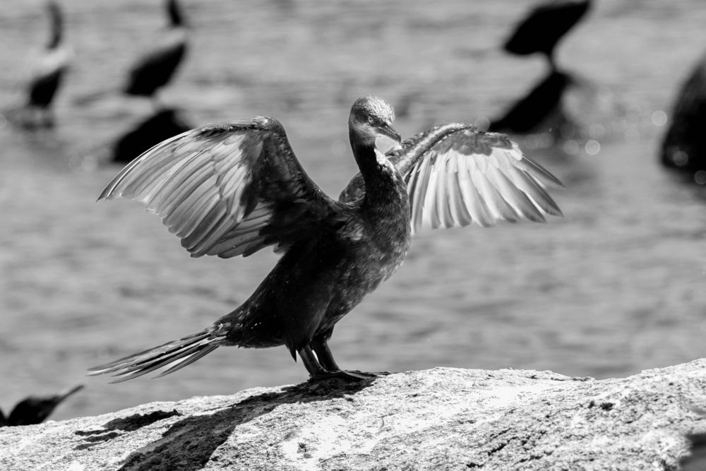 Photograph by Elem Souza