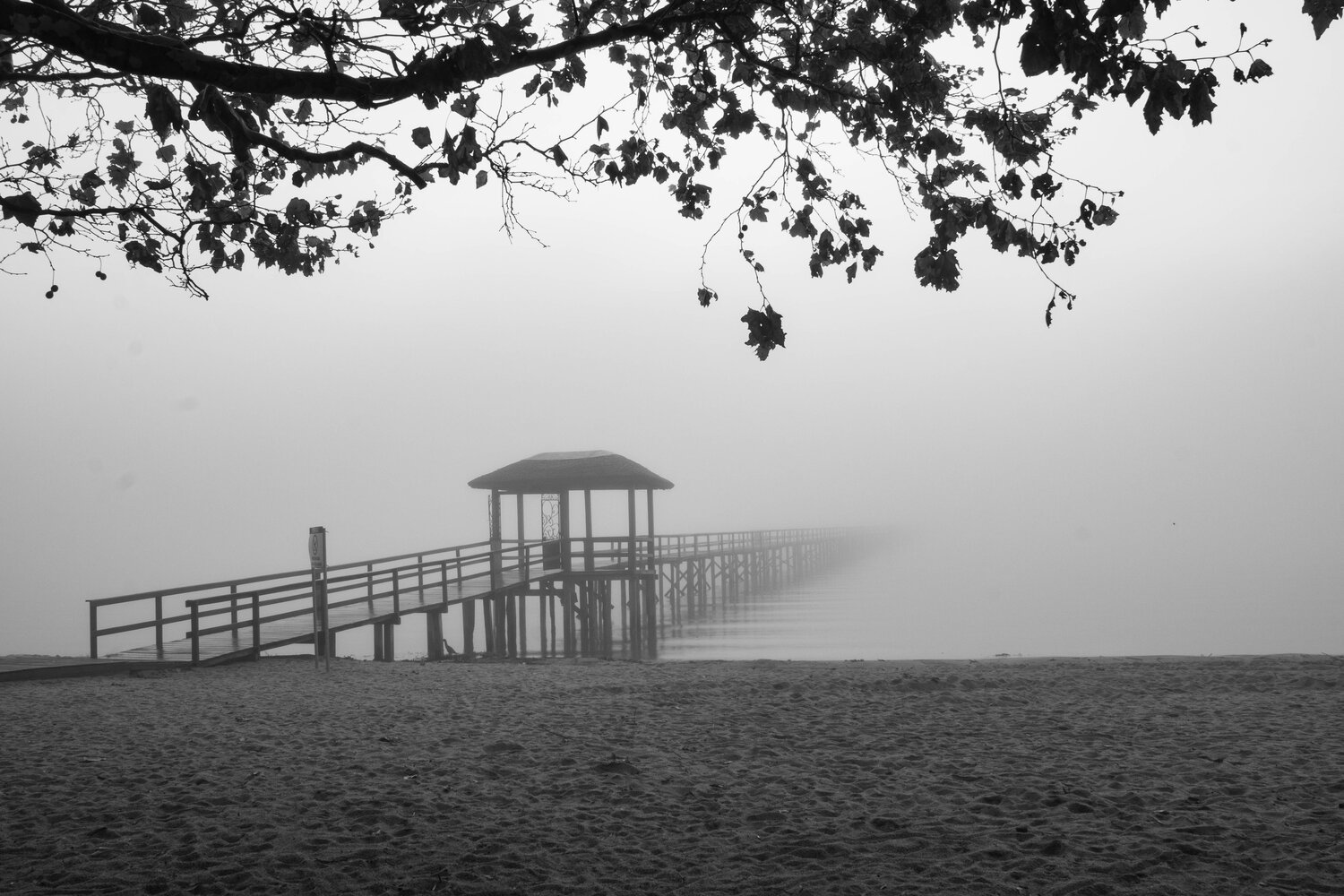 Photo #13114331