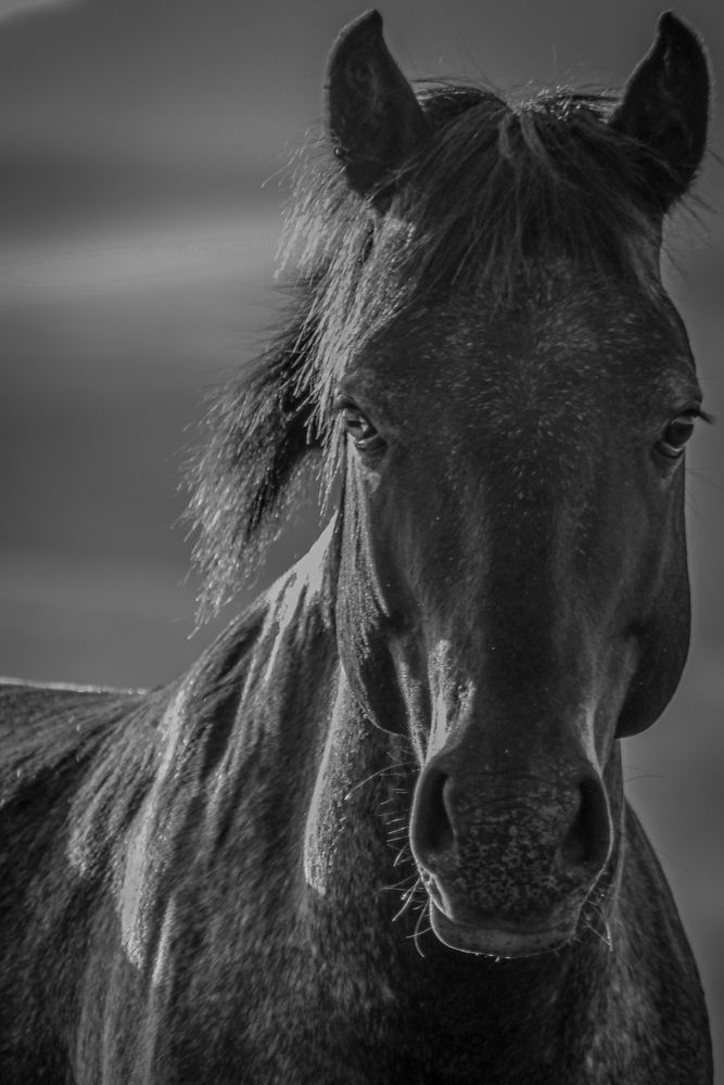 Photograph by Fabiano Manhães