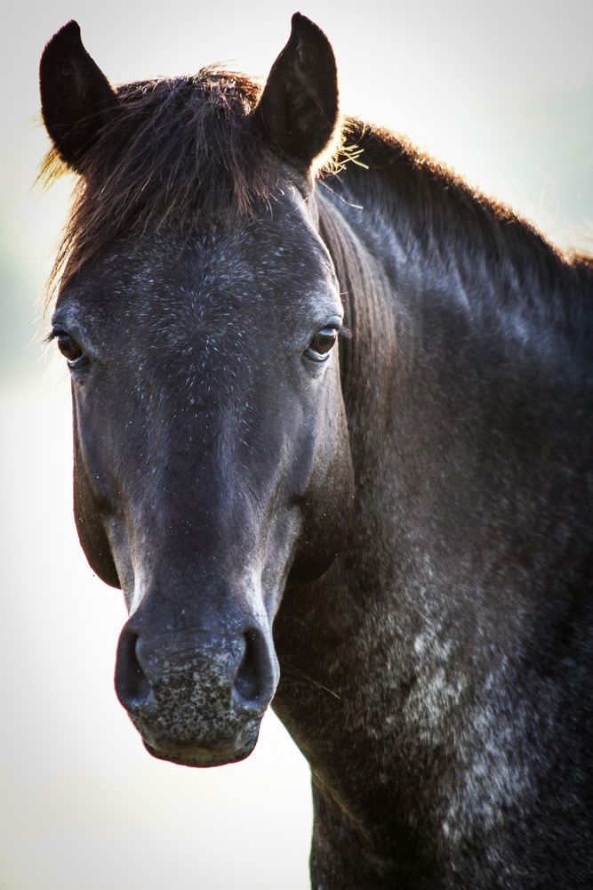 Photograph by Fabiano Manhães