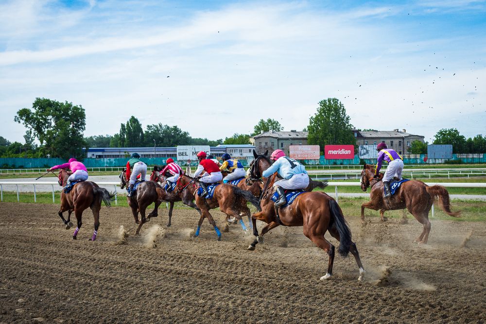 Photograph by Negovan Pesic