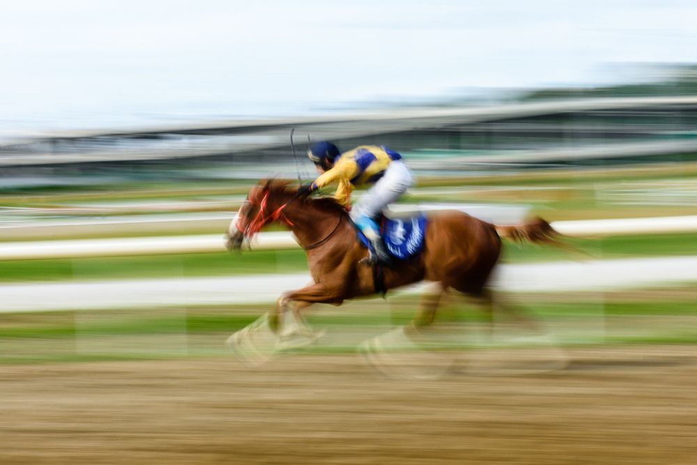 Photograph by Negovan Pesic