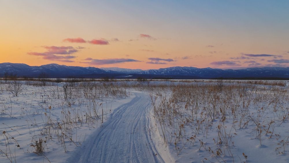 Photograph by Ольга Глущенко