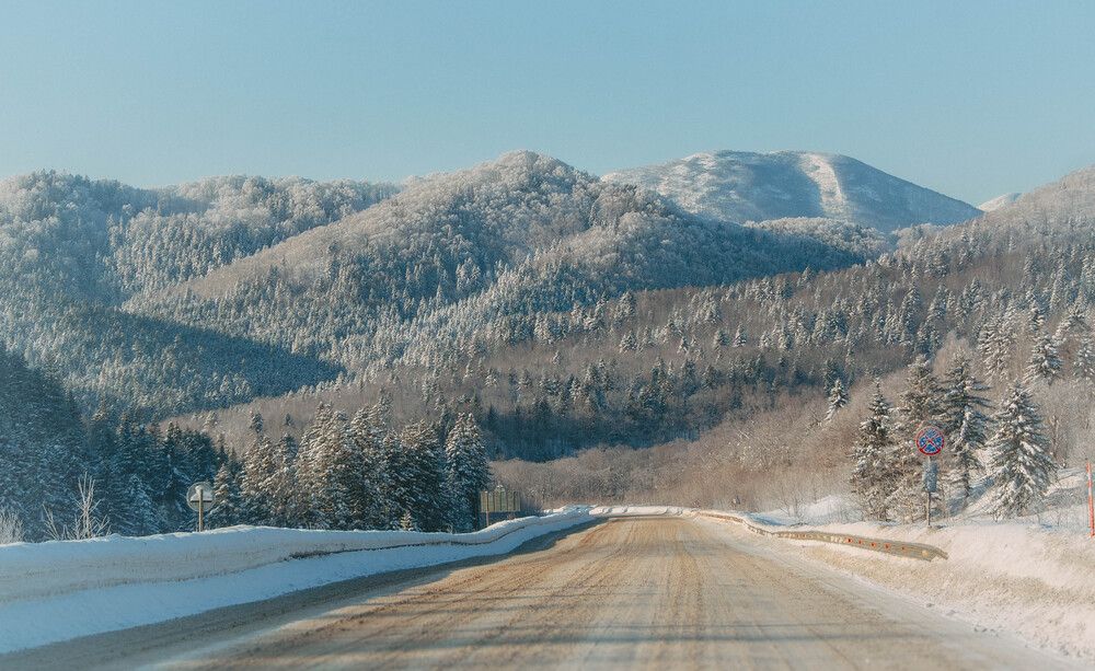 Photograph by Ольга Глущенко