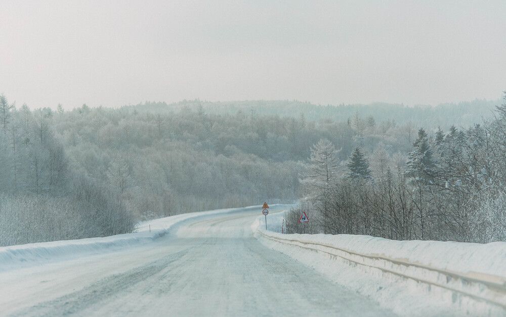 Photograph by Ольга Глущенко