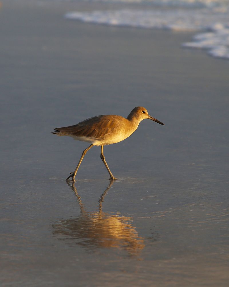 Photograph by Anferow Lana