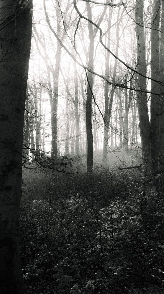 Photograph by Levente Bercsényi